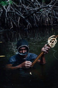 Dans la mangrove &agrave; proximit&eacute; du village Miskito de Kruta, un homme p&ecirc;che son repas arm&eacute; d'un fusil sous-marin. - In the mangrove near the Miskito village of Kruta, a man fish for his meal armed with a speargun. Valerian Mazataud I hanslucas.com