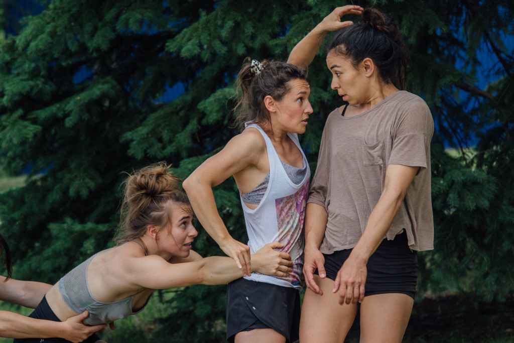 Les membres du Cirque Barcode et de la troupe Acting for Climate Montreal, en repetition de leur spectacle Branche, qui aura lieu dans le cadre de Montreal Completement Cirque, dans les espaces verts qui jouxtent la Tohu et le Cirque du Soleil. Photo : Valerian Mazataud Le Devoir